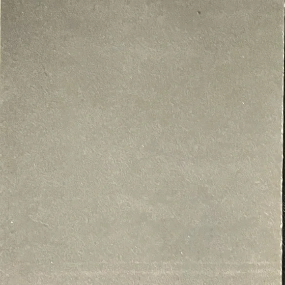 America’s rising STAR 
PALLADIUM - Picture 2 of 2